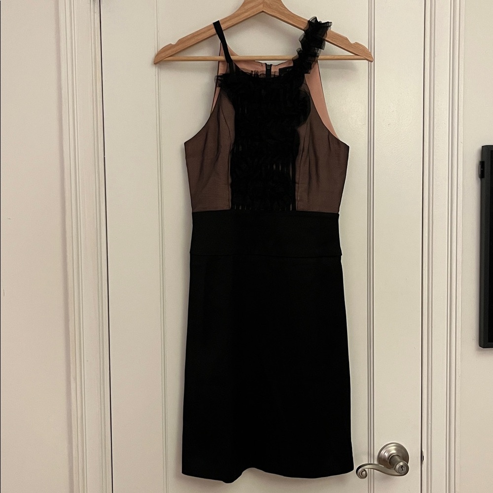 BCBGMaxAzria Black and Pink Dress with Ruffle Accents